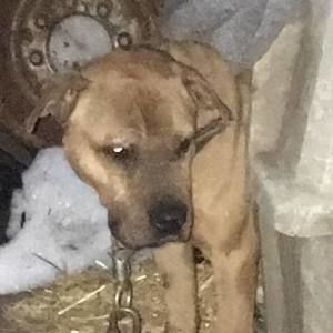 Meet your Posher, Khalid